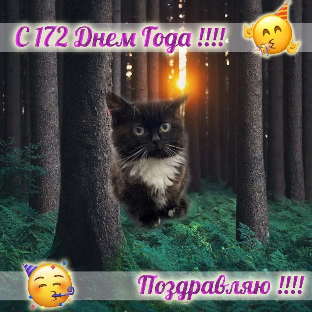 Дички в отсутствие инета