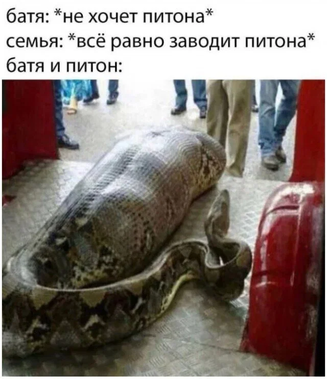 Дички в отсутствие интернета