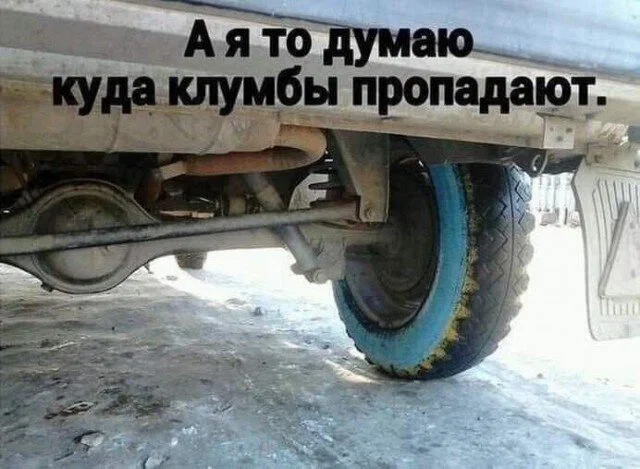 Дички в отсутствие интернета