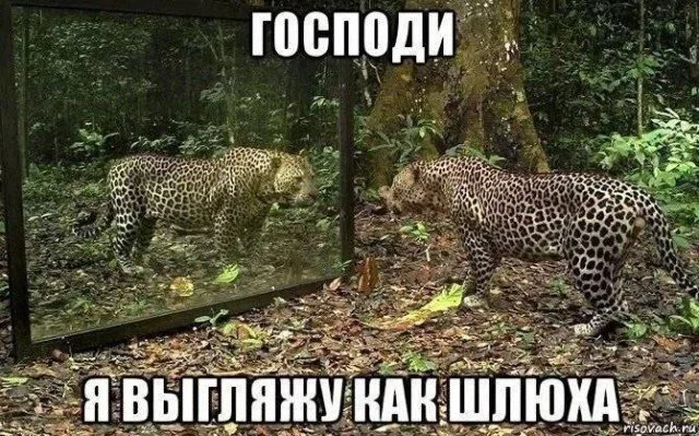 Дички в отсутствие интернета