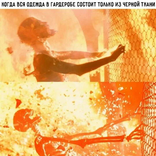 Дичка в отсутствие интернета