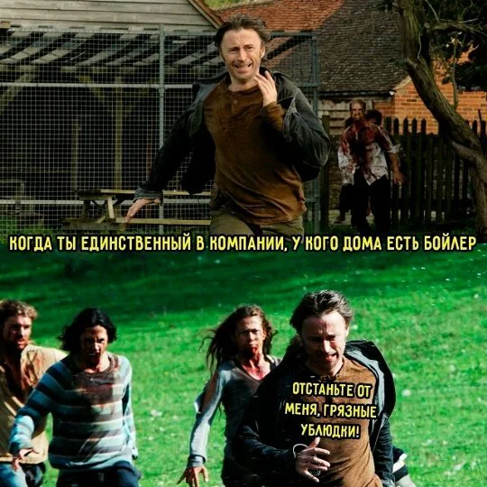 Дичка в отсутствие интернета