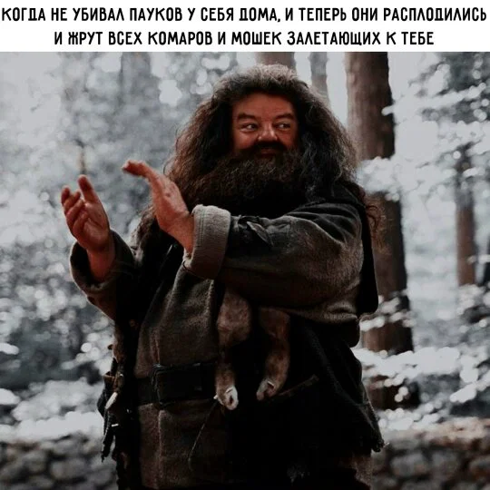 Дичка в отсутствие интернета