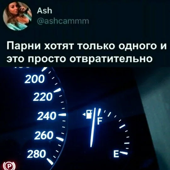 Дичка в отсутствие интернета