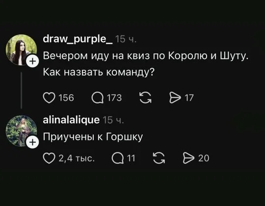 Дичка в отсутствие интернета