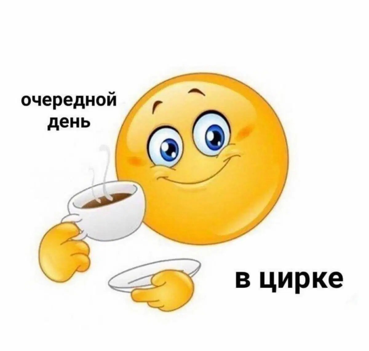 Дичка в отсутствие интернета