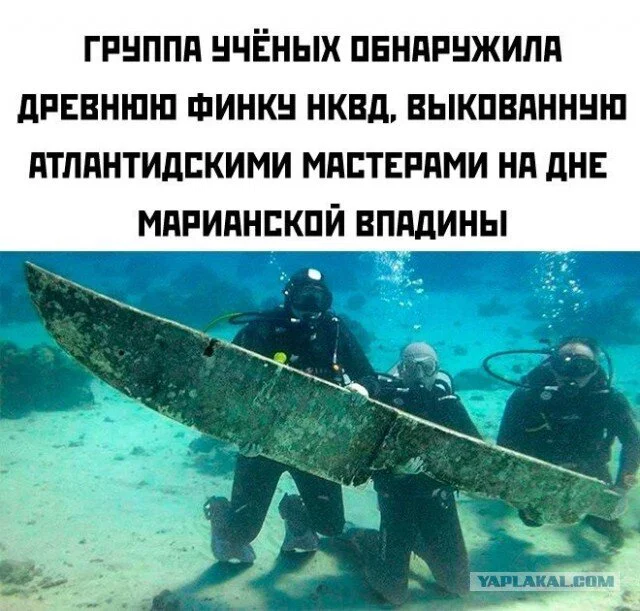 Дичка в отсутствие интернета
