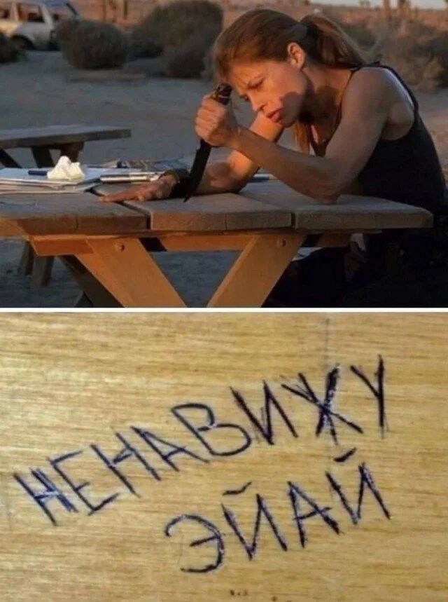 Дичка в отсутствие интернета