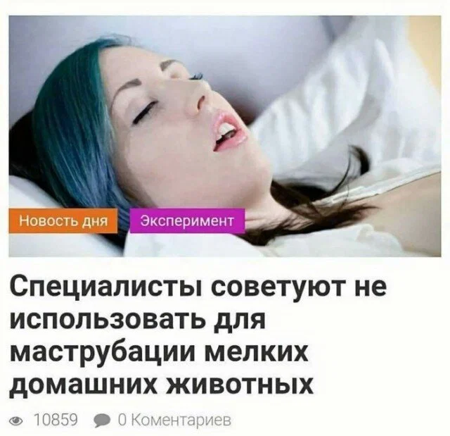 Дичка в отсутствие интернета