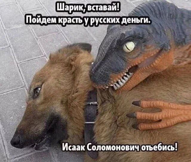 Дичка в отсутствие интернета