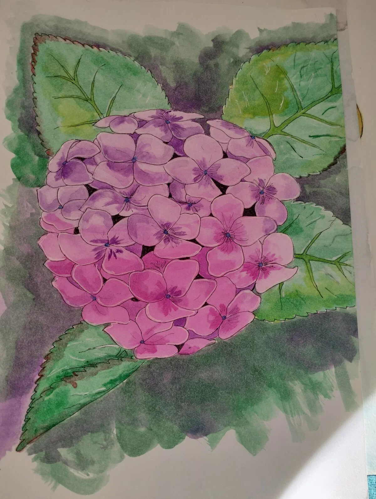По вашей просьбе)