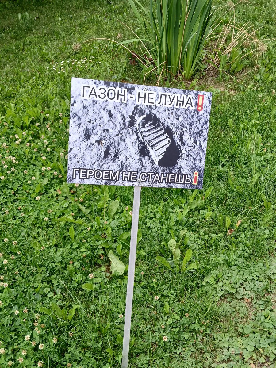 Везде разнообразные просьбы не ходить по газону