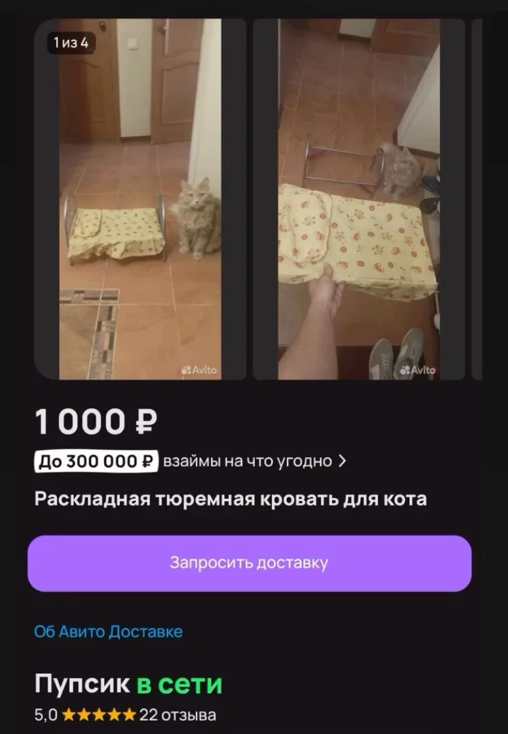 Дички не смотря на отсутствие мобильного интернета