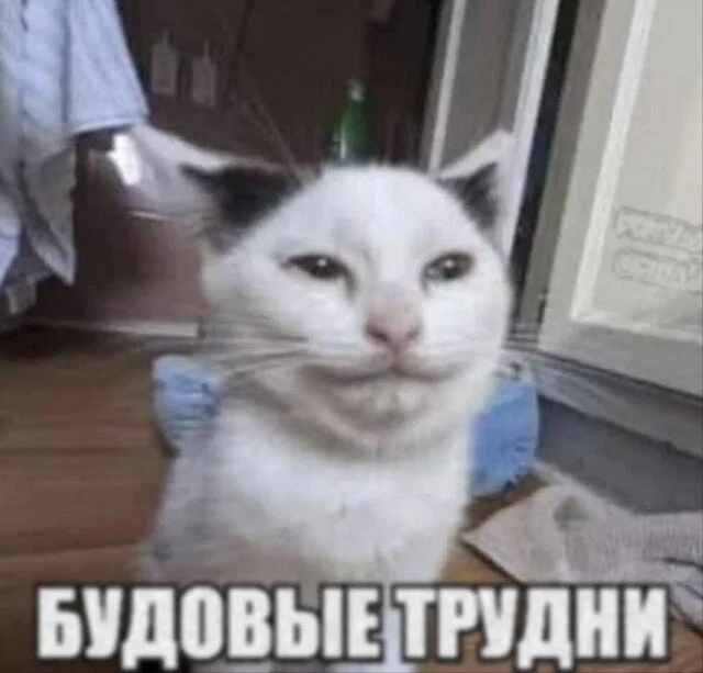Дички не смотря на отсутствие мобильного интернета