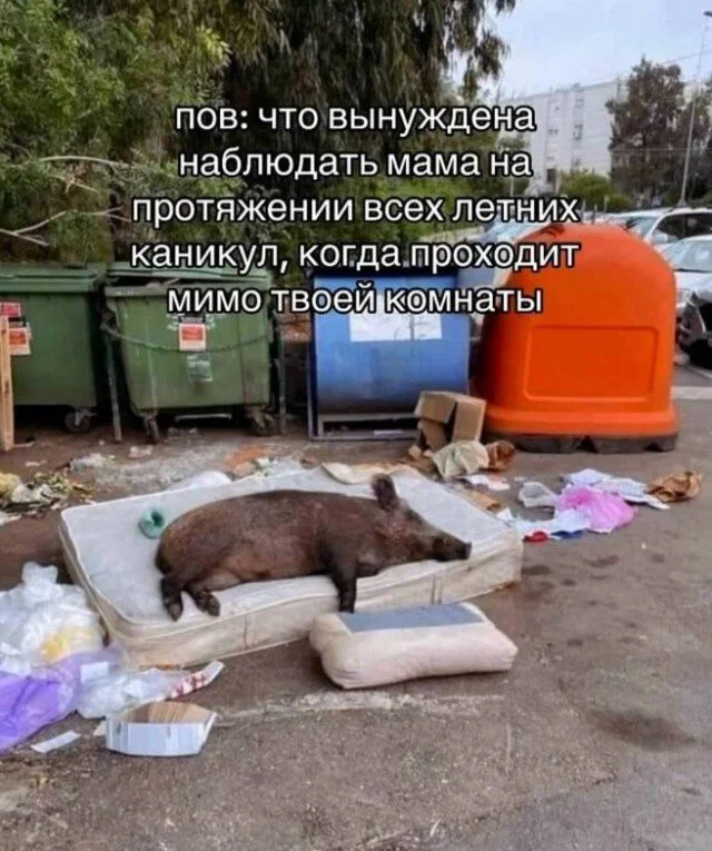 Дички не смотря на отсутствие мобильного интернета