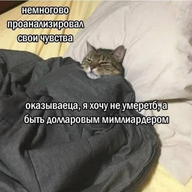 Дички намночь от мешочков под глазами