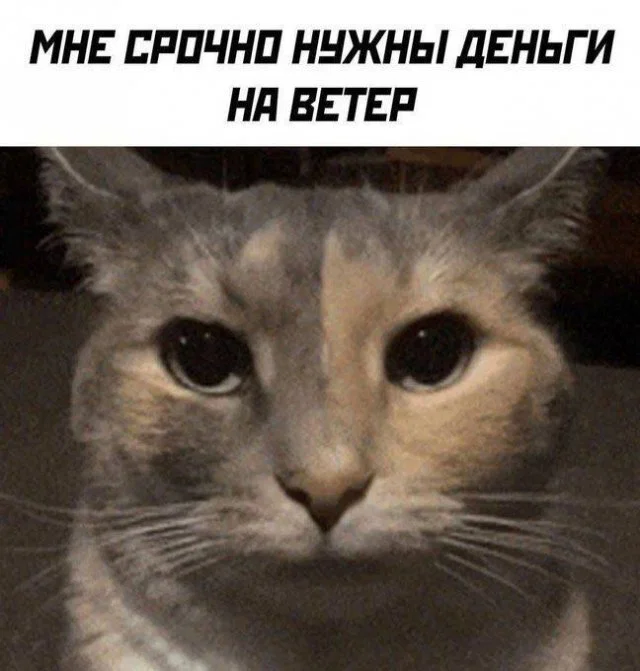 Дичка с утра заменяет стаканчик кваса