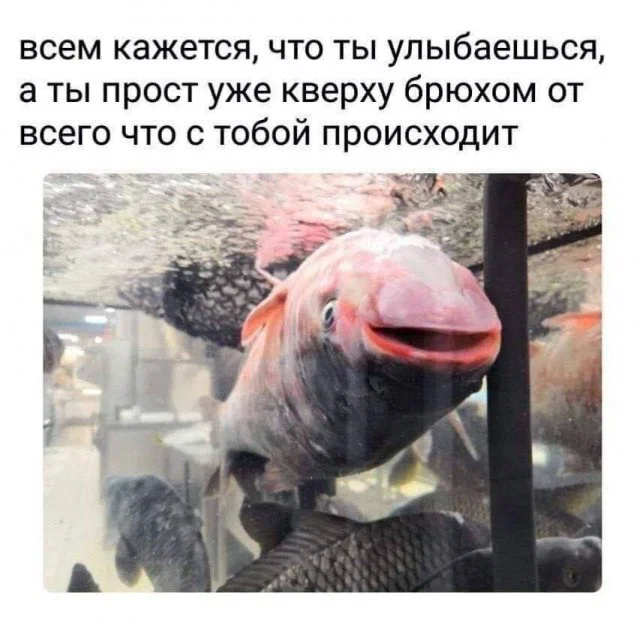 Дичка с утра заменяет стаканчик кваса