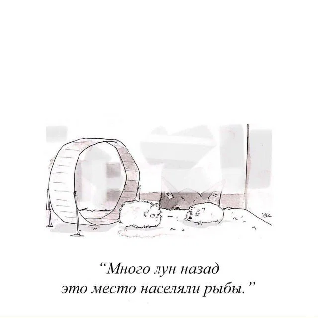 Дичка с утра заменяет стаканчик кваса