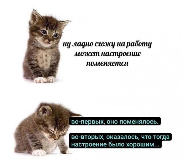 Дичка с утра заменяет стаканчик кваса
