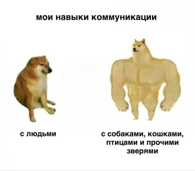 Дичка с утра заменяет стаканчик кваса