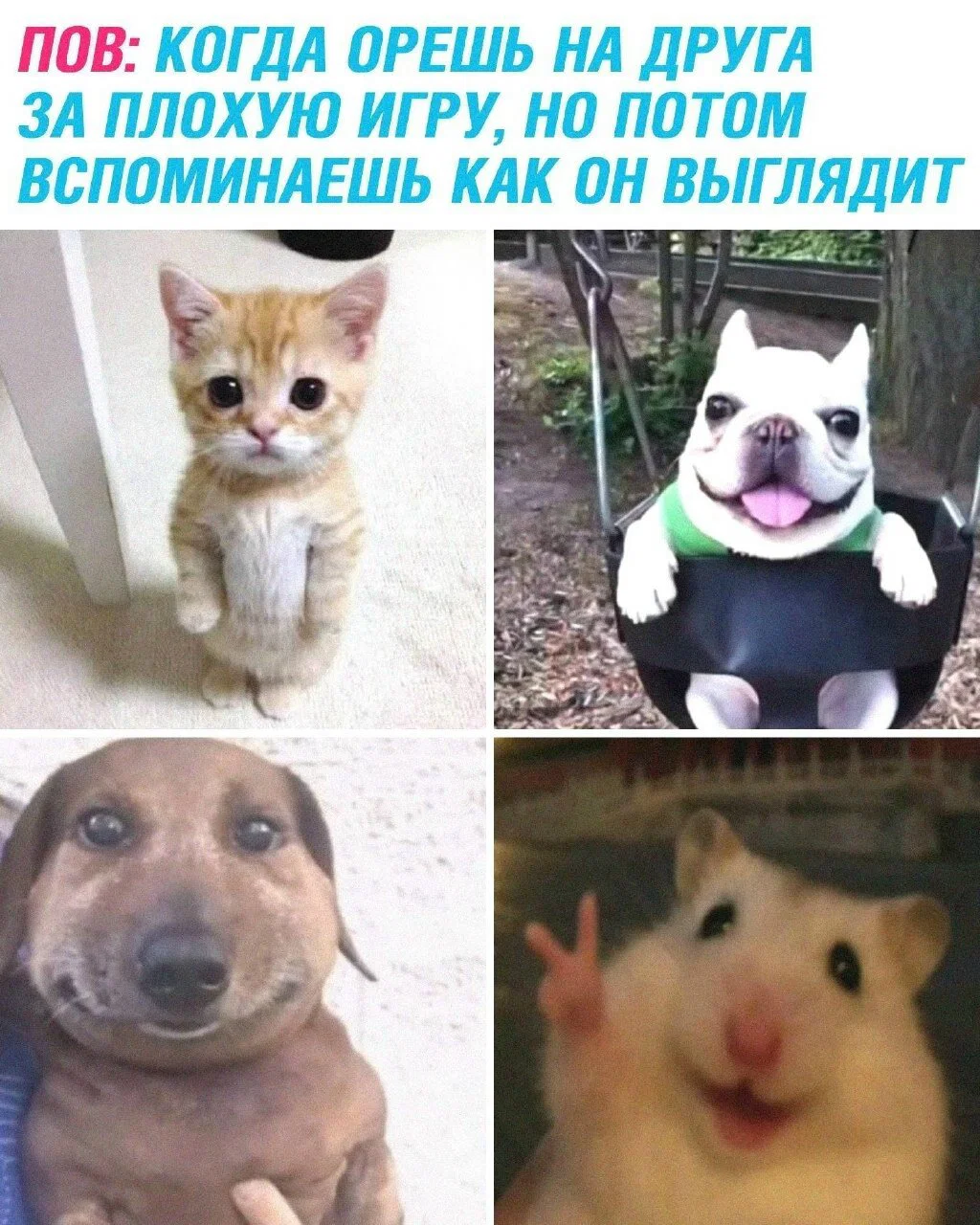 Дичка с утра заменяет стаканчик кваса