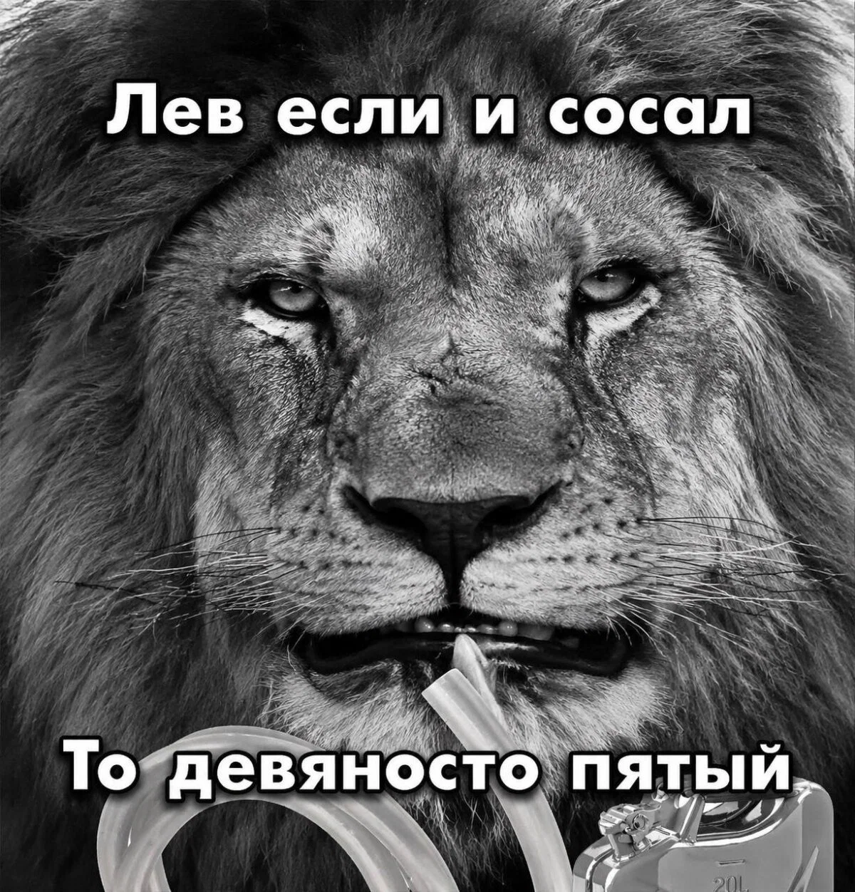 Дичка с утра заменяет стаканчик кваса