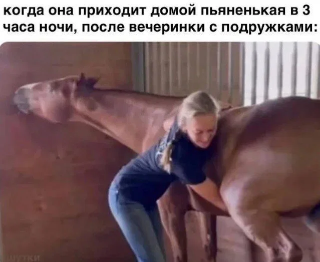 Дичка к вечеру с запасом