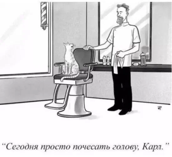 Дичка к вечеру с запасом