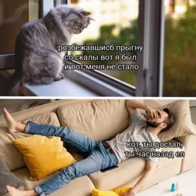 Дичка к вечеру с запасом