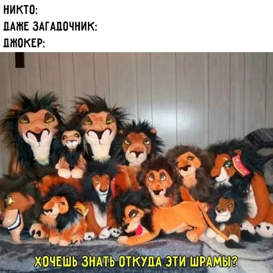 Дичка к вечеру с запасом