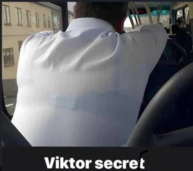 Дичка к вечеру с запасом