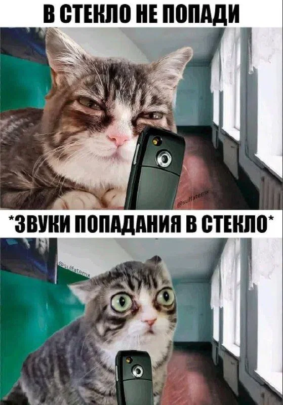 Дичка к вечеру с запасом