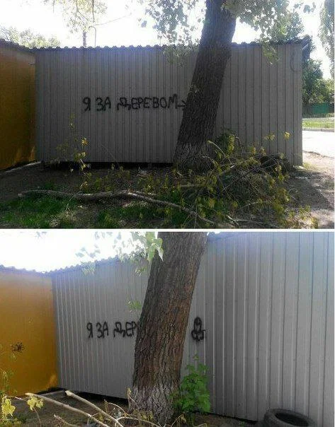 Дичка к вечеру с запасом