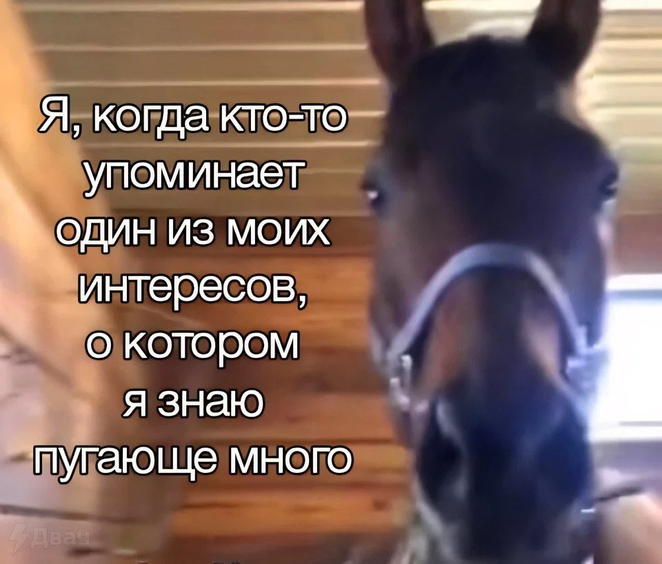 Дичка к вечеру с запасом