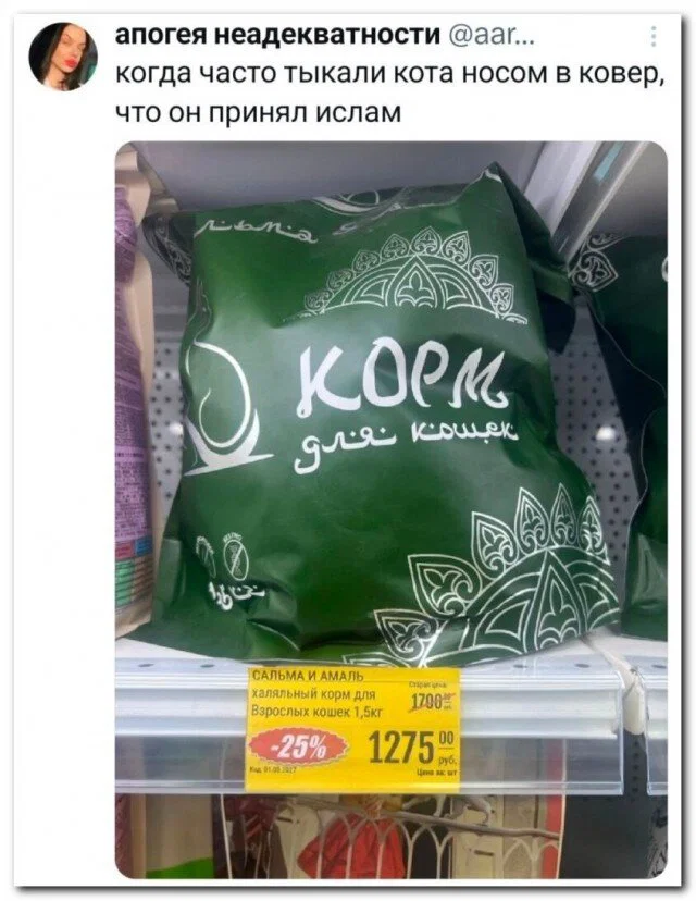 Дичка к вечеру с запасом