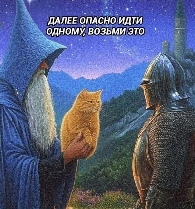 Дичка к вечеру с запасом