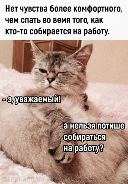 Дичка к вечеру с запасом