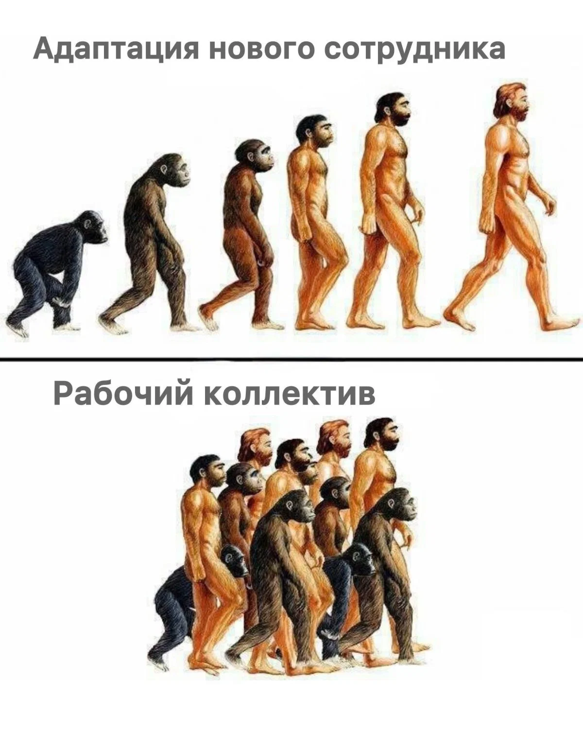 Дичка к вечеру с запасом