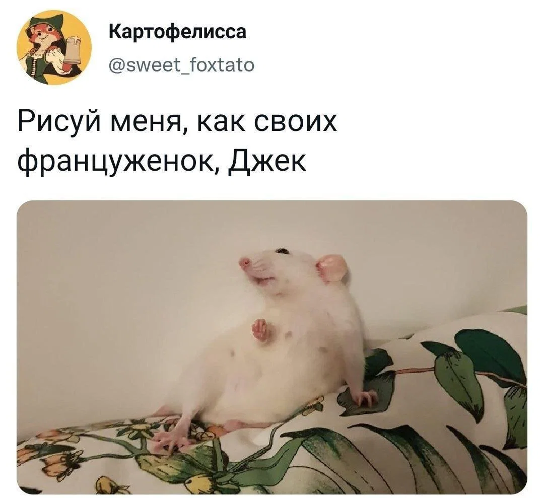 Дичка к вечеру с запасом