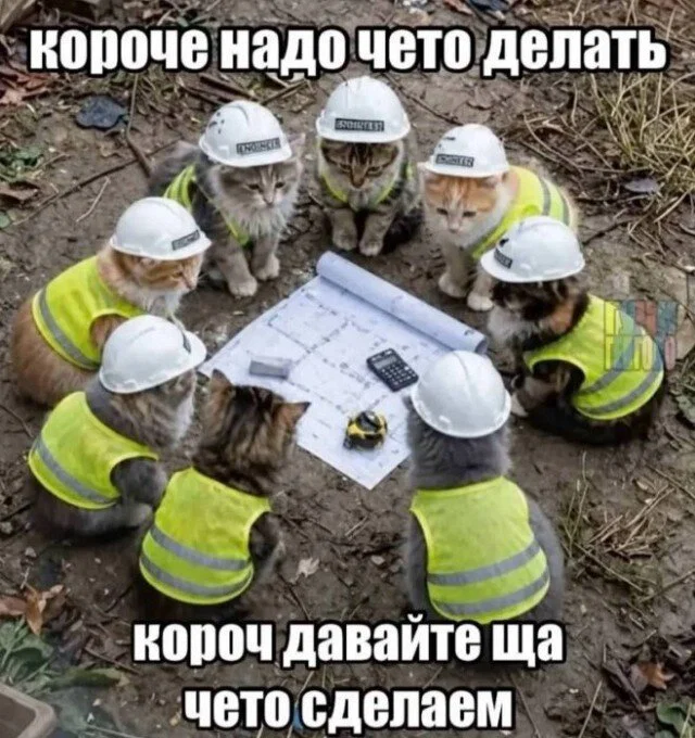 Дичка к вечеру с запасом