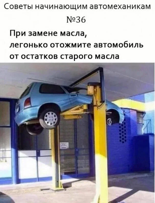 Дичка к вечеру с запасом