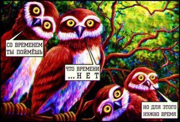 Дички в субботу кому не на работу
