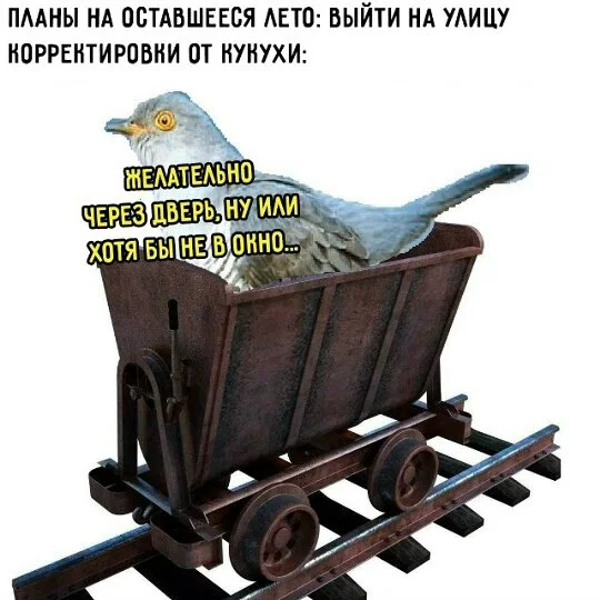 Дички в субботу кому не на работу