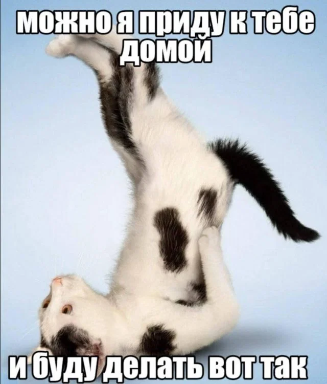 Диченька