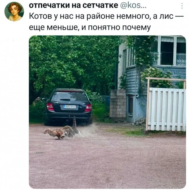 Диченька