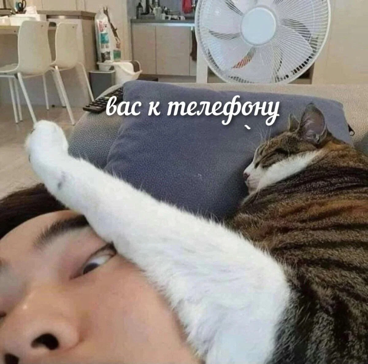 Диченька