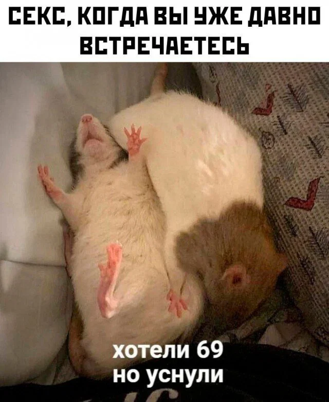 дички из поезда - домой )))
