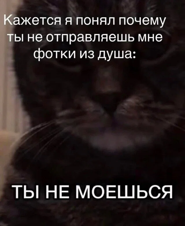 дички из поезда - домой )))