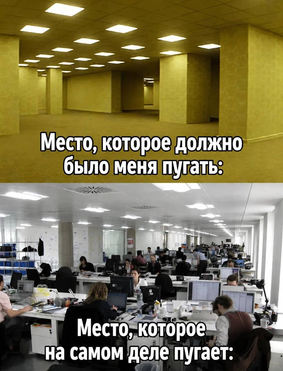 дички из поезда (2 день)
